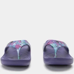 Ode Itchycoo Grey Sandal