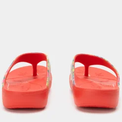 Ode Itchycoo Sandal