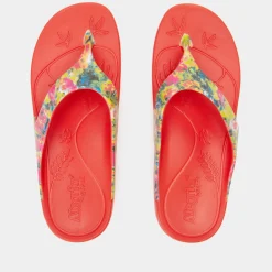 Ode Itchycoo Sandal
