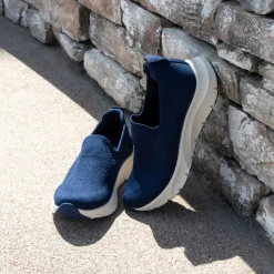 Waze Navy Shoe